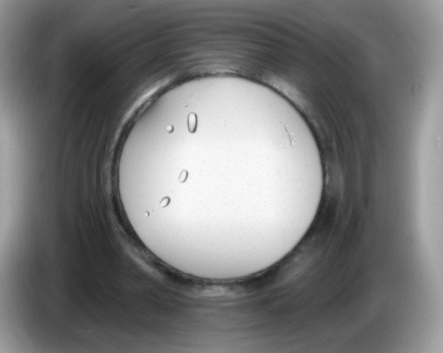 X0000086250390200704261940