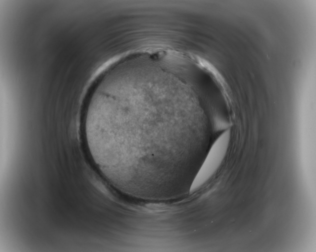 X0000086250391200704261940