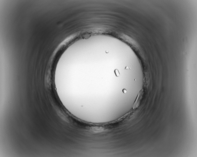 X0000086250392200704261940