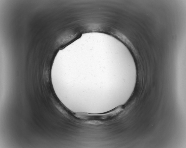 X0000086250393200704261940