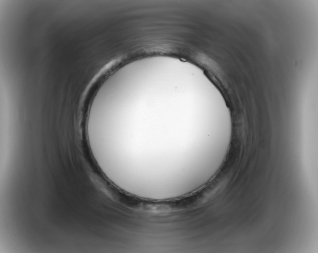 X0000086250395200704261940