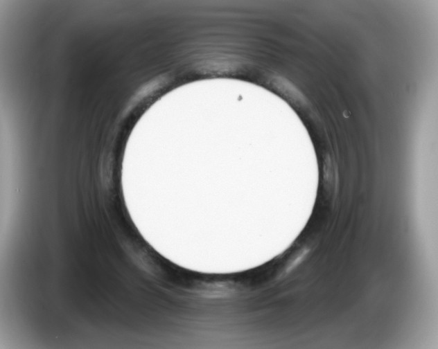 X0000086250396200704261940