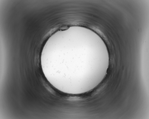 X0000086250397200704261940