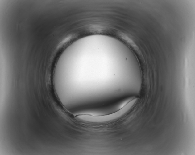 X0000086250399200704261940