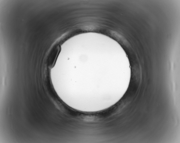 X0000086250400200704261940
