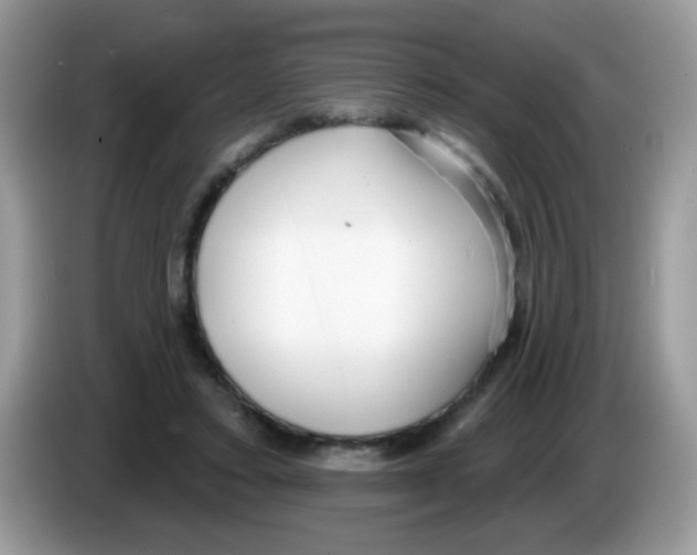 X0000086250403200704261940