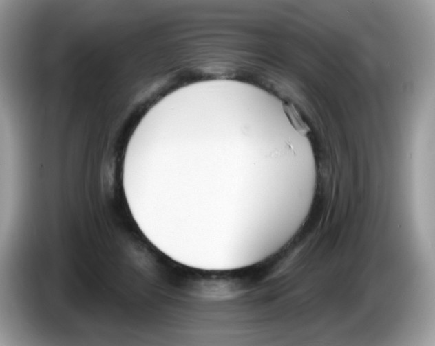 X0000086250404200704261940