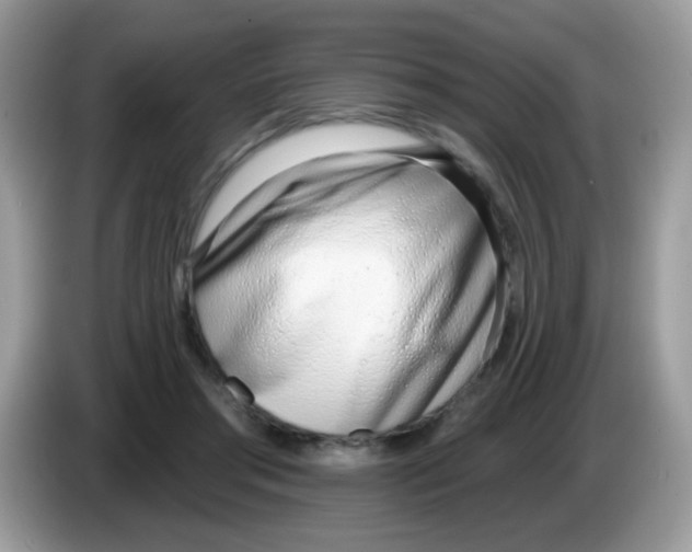 X0000086250405200704261940
