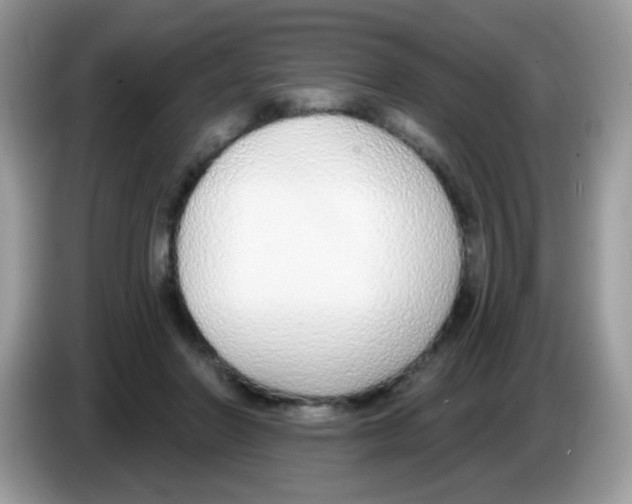 X0000086250406200704261940