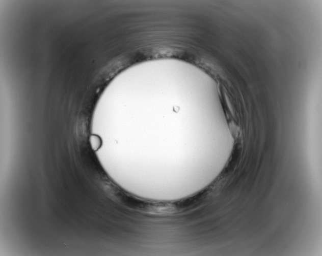 X0000086250410200704261940