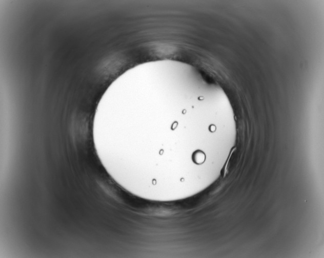 X0000086250412200704261940