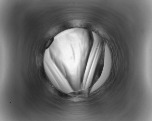 X0000086250413200704261940