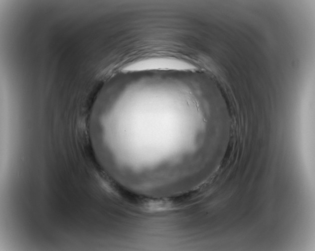 X0000086250415200704261940