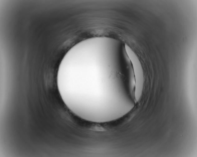 X0000086250416200704261940