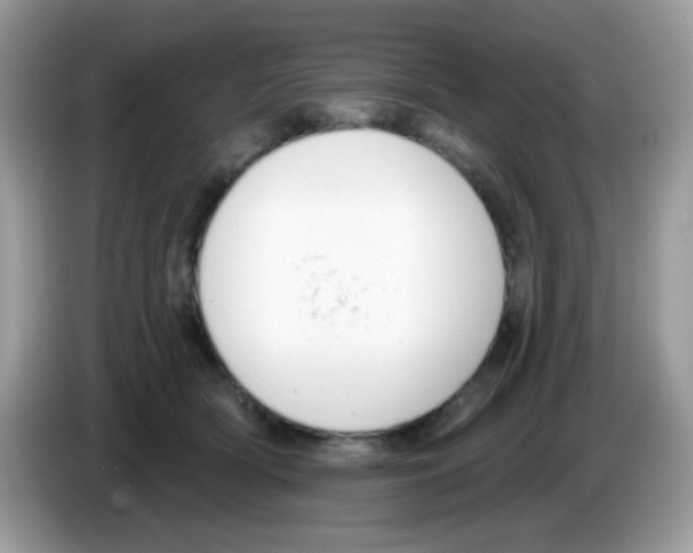 X0000086250418200704261940