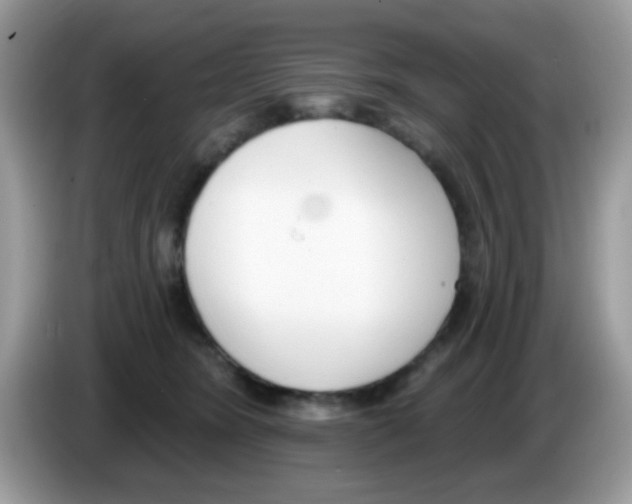 X0000086250420200704261940