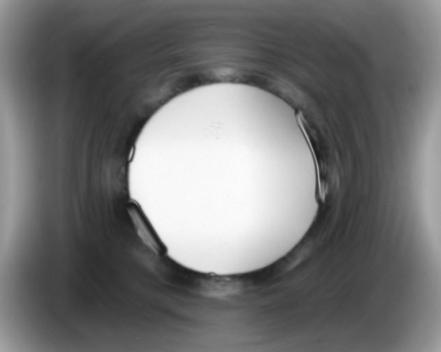 X0000086250421200704261940