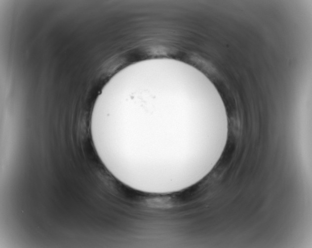 X0000086250422200704261940