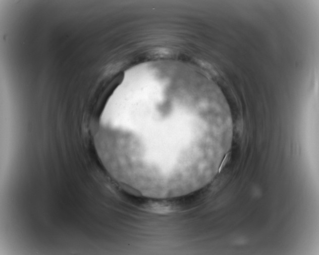 X0000086250423200704261940