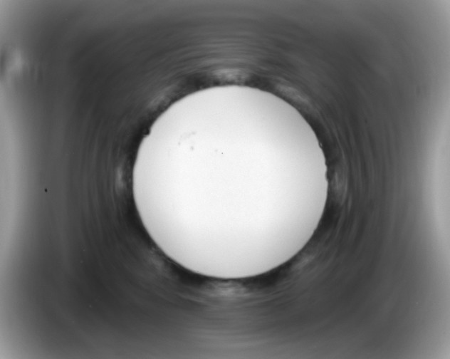 X0000086250424200704261940