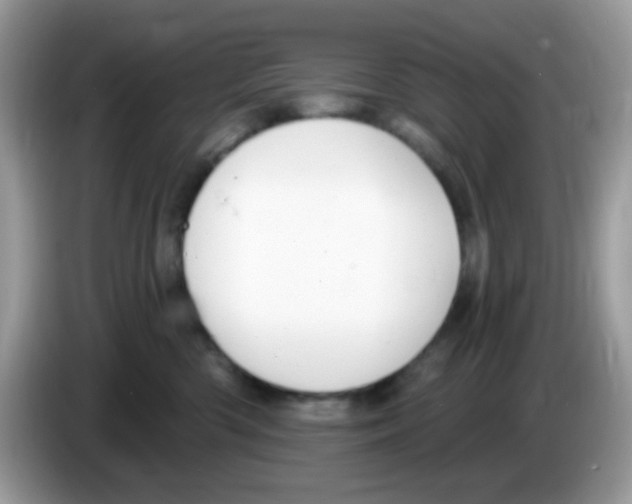 X0000086250426200704261940
