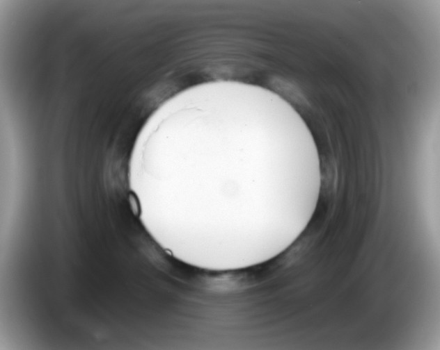 X0000086250430200704261939