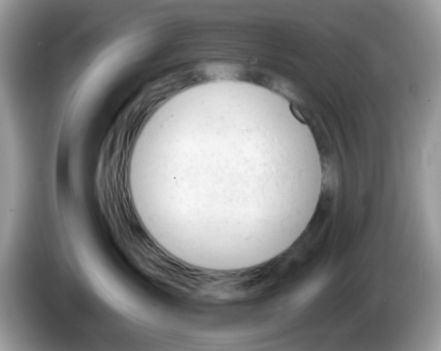 X0000086250431200704261939