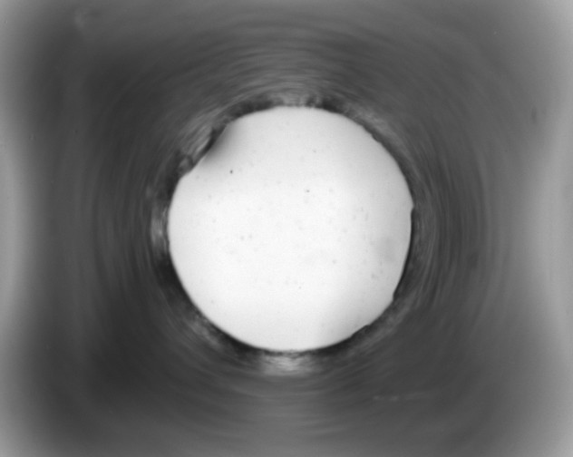 X0000086250432200704261939