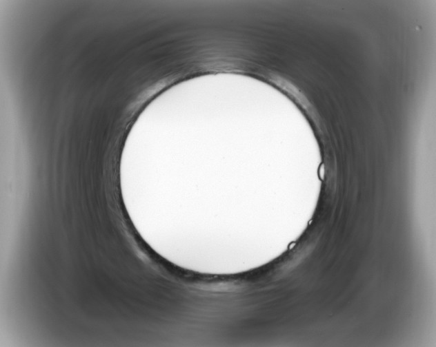 X0000086250433200704261939