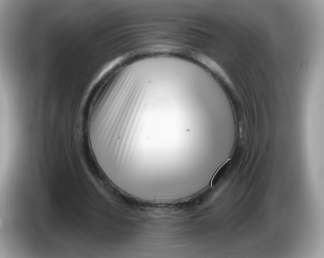 X0000086250436200704261939
