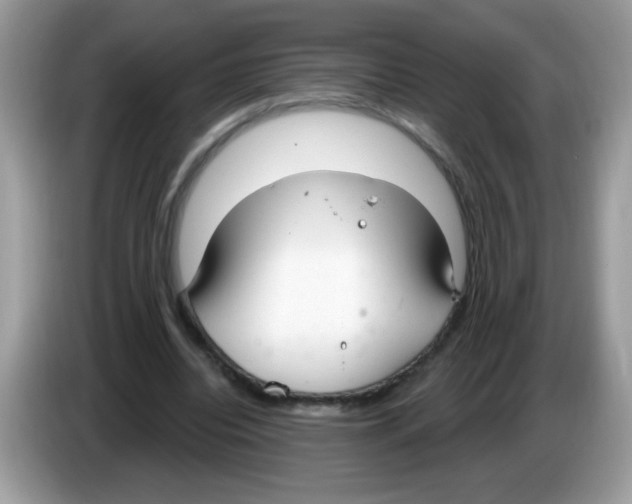 X0000086250440200704261939