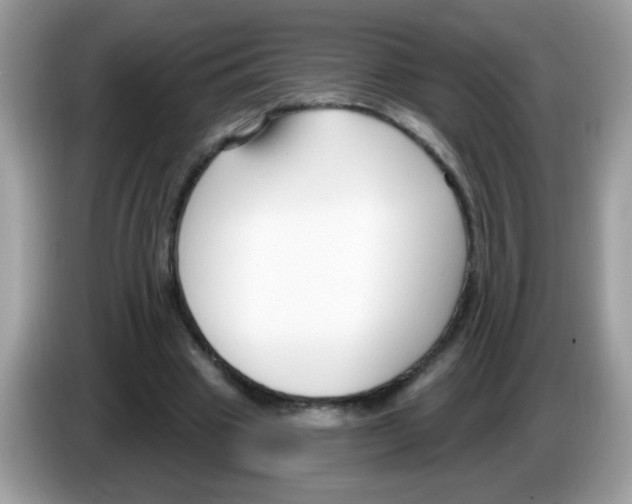 X0000086250441200704261939