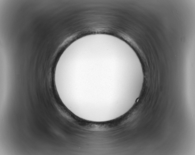 X0000086250442200704261939