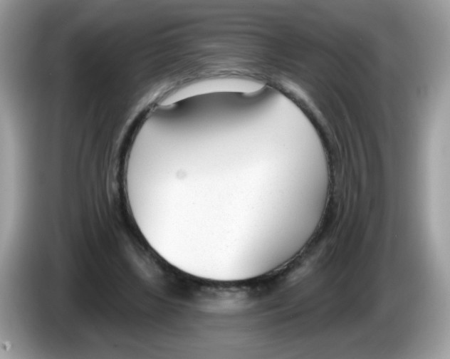 X0000086250443200704261939