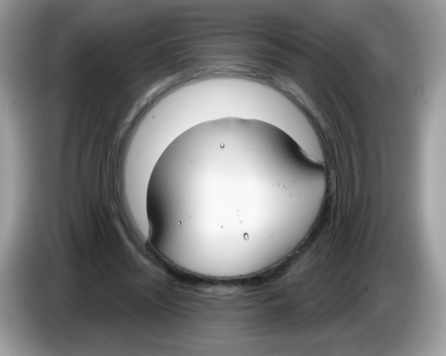 X0000086250444200704261939