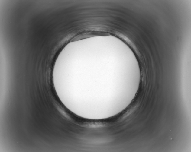 X0000086250445200704261939