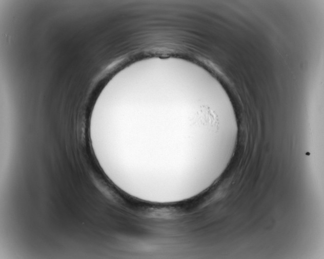 X0000086250446200704261939