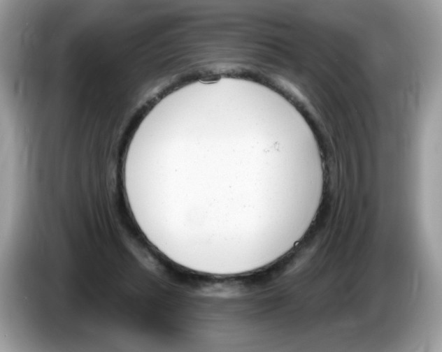 X0000086250447200704261939