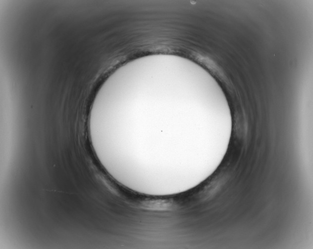 X0000086250449200704261939
