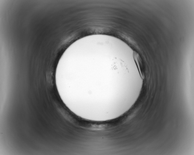 X0000086250450200704261939