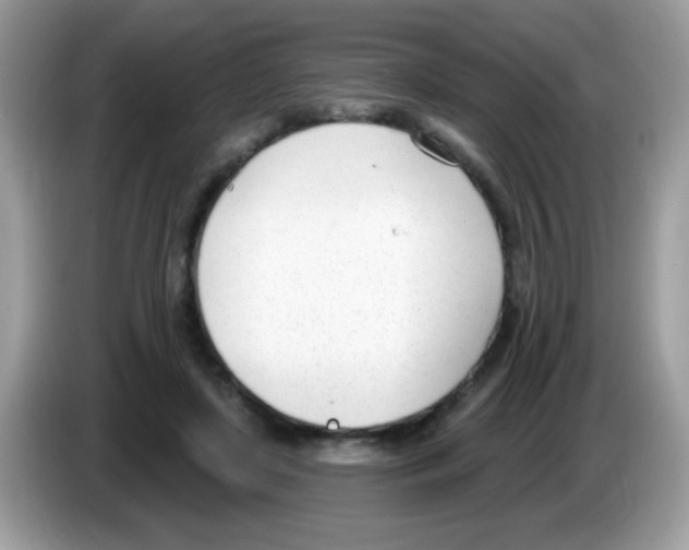 X0000086250451200704261939