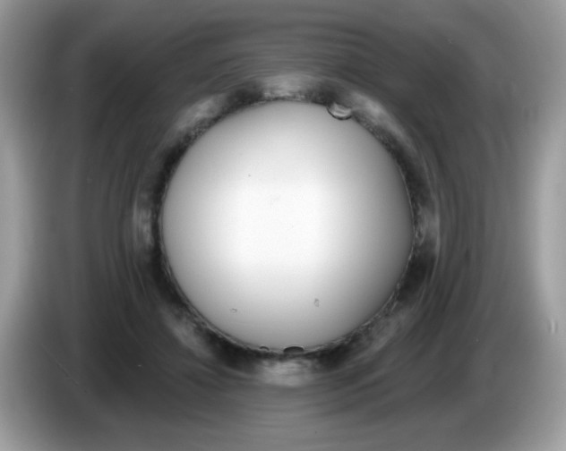 X0000086250452200704261939