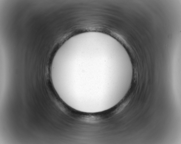 X0000086250453200704261939