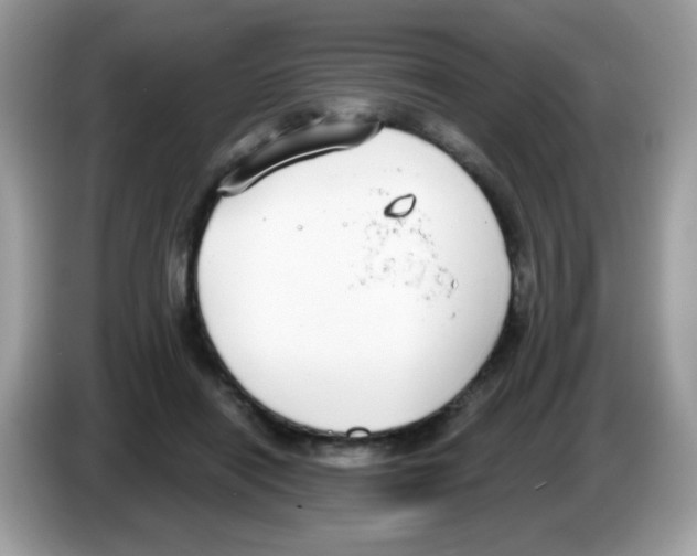 X0000086250454200704261939
