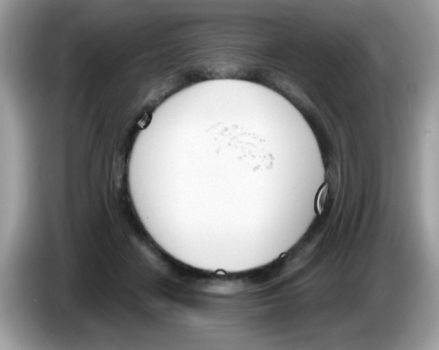 X0000086250458200704261939