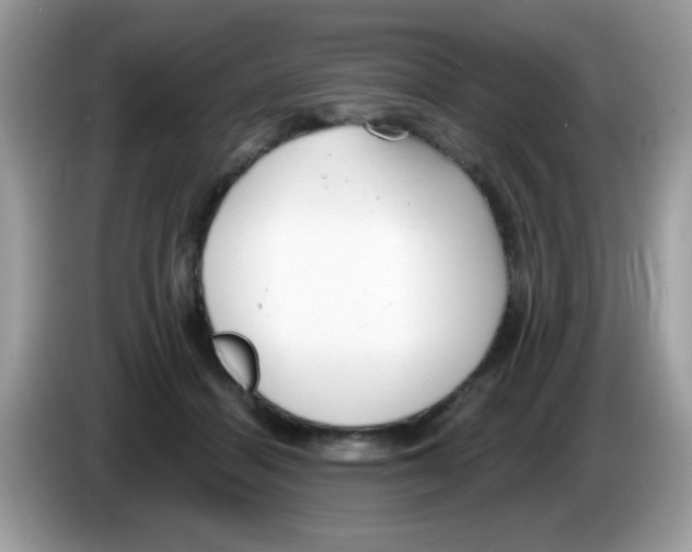 X0000086250460200704261939