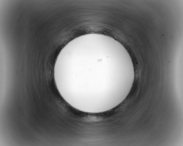 X0000086250464200704261939