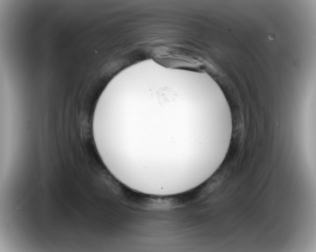 X0000086250469200704261939
