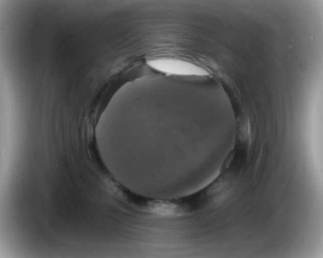 X0000086250471200704261939