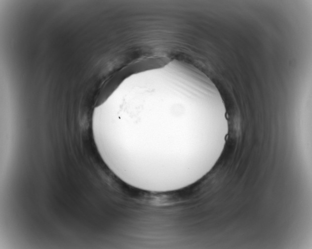 X0000086250472200704261939